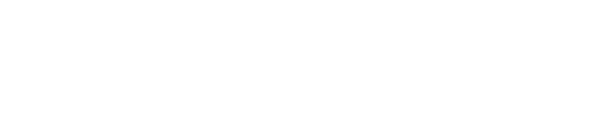 Maruca Group Logo NEW reverse