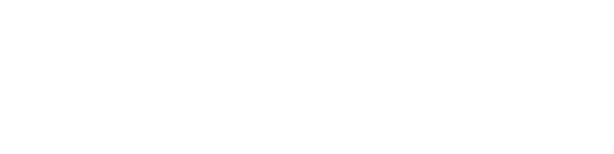 iridium-new2-horizontal reverse